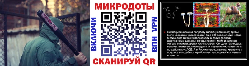 Псилоцибиновые грибы Psilocybine cubensis  блэк спрут как зайти  Пыталово  купить закладку 